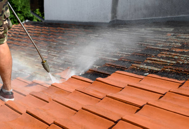 Best Residential Pressure Washing Services  in Winchester, IL