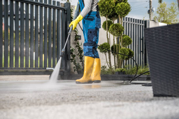 Best Sidewalk Pressure Washing  in Winchester, IL