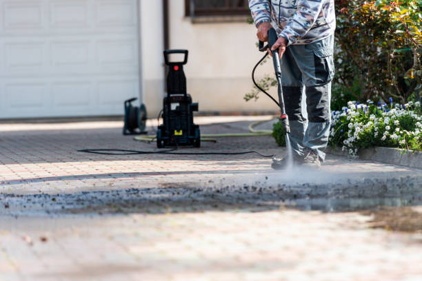 Best Roof Pressure Washing  in Winchester, IL