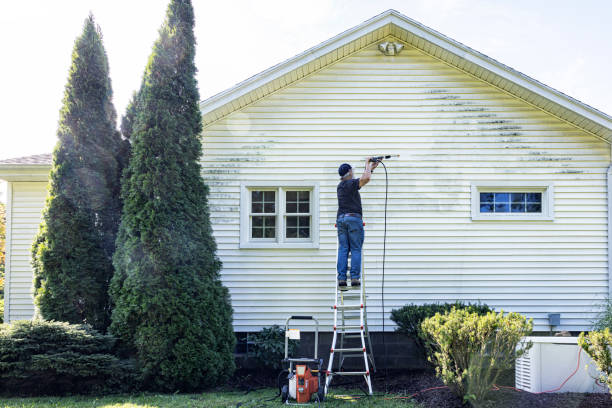 Best Sidewalk Pressure Washing  in Winchester, IL