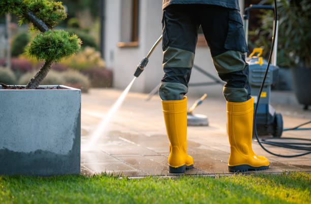 Best Pressure Washing Patio  in Winchester, IL